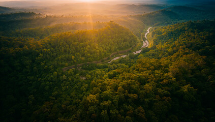 Imagem a&eacute;rea de floresta exuberante ao entardecer com rio: ideal para campanhas de sustentabilidade