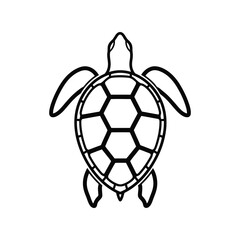 Fototapeta premium Minimalist line art sea turtle illustration Vector