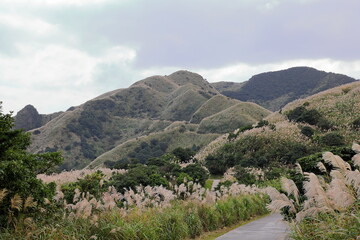 Mountain views of Jinguashi and Jiufen area a popular tourist destination in Taipei Taiwan