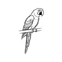 Elegant blue and yellow macaw perched on branch, line art Vector © alien AZ