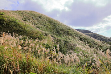 Mountain views of Jinguashi and Jiufen area a popular tourist destination in Taipei Taiwan