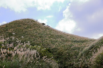 Mountain views of Jinguashi and Jiufen area a popular tourist destination in Taipei Taiwan