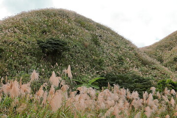Mountain views of Jinguashi and Jiufen area a popular tourist destination in Taipei Taiwan