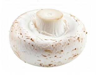 Fresh, isolated, creamy-white mushroom with a centered stem, on white