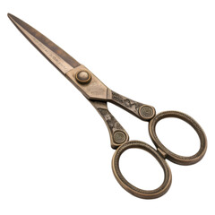 What Will You Create With These? on transparent background