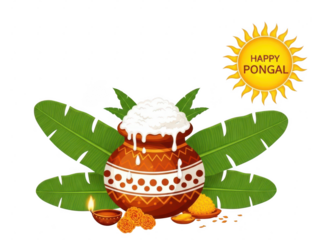 Pongal festival celebration with pot and leaves isolated on transparent background