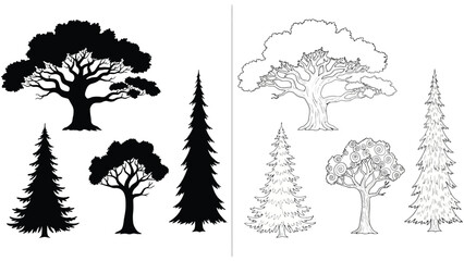 Silhouettes and line art depictions of trees and coniferous plants © Siam Studio