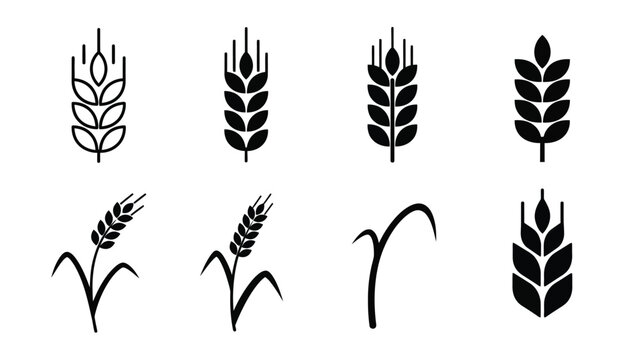 A collection of various wheat and grain stalks in black silhouette style