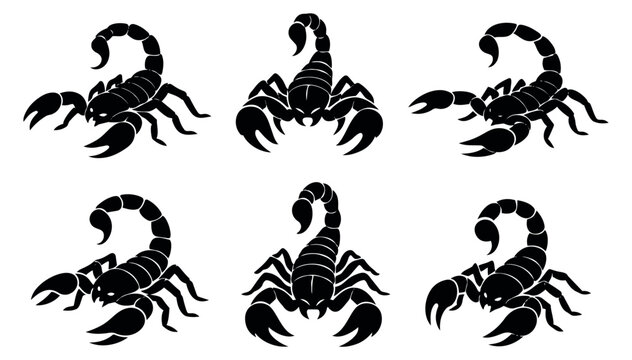 Graphic scorpion set featuring scorpions in various poses for design projects