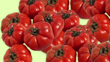 Group of fresh ripe red beefsteak tomatoes falling slowly on a pastel green background