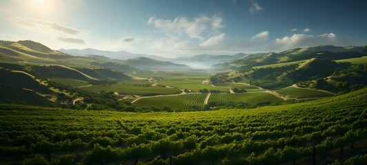 realistic photo of a glossy Vineyard ,generative AI