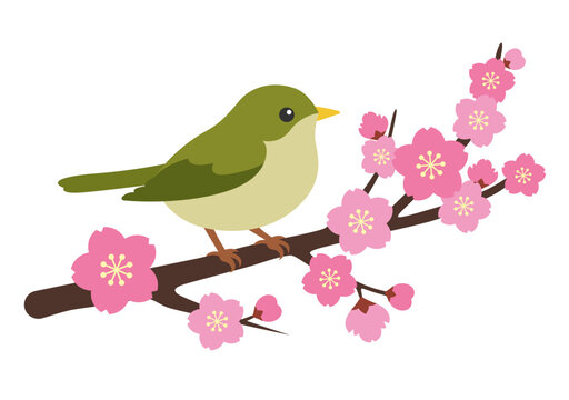 うぐいす Images – Browse 2,604 Stock Photos, Vectors, and Video