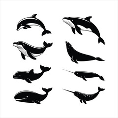 Collection of black silhouette marine animals including whale dolphin seal manatee narwhal vector © TAHSIN