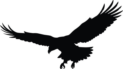 Obraz premium Flying eagle silhouette with spread wings isolated on white background wildlife freedom power nature bird predator illustration symbol