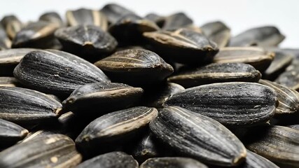 A detailed closeup perspective of a large abundant pile of raw unprocessed sunflower seeds showcasing their distinctive black and white striped shells and natural textures highlighting their potentia.