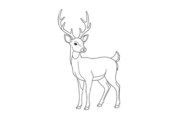 Deer realistic style  coloring book, Se t of deer outline  coloring page 