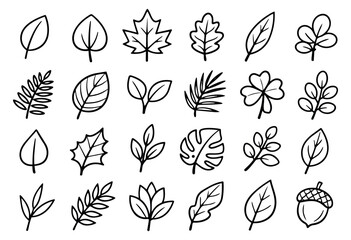 Hand drawn line art botanical elements set featuring various leaves, foliage, and an acorn for natural design and decoration