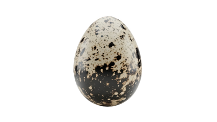 Speckled Bird Egg on White Background