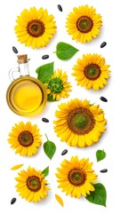 Sunflower Oil and Blossoms - A Natural Beauty and Health Elixir.