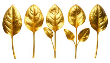 Decorative golden plant stems with leaves isolated on white background