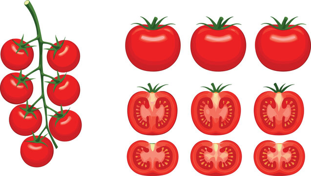 Fresh red tomato vector set featuring whole cherry tomatoes on vine and ripe tomato slices isolated on white background for healthy food design.