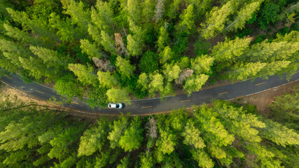 Aerial view of dark green forest road and white electric car Natural landscape and elevated roads Adventure travel and transportation and environmental protection concept	