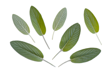  Several fresh green sage leaves are arranged in a circular pattern. The textured surface of the herbs is visible, highlighting their velvet-like appearance.