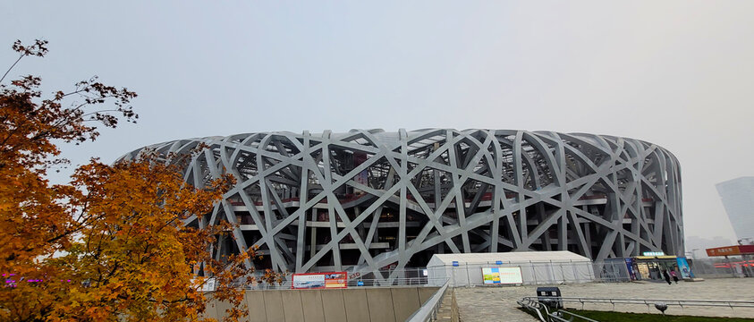 Bird's nest stadium