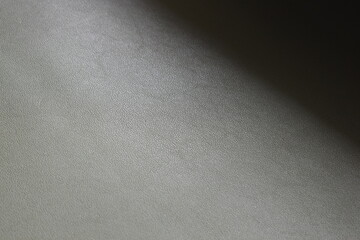 shiny dark green leather texture background for design