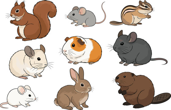 Cute collection of small mammals and rodents including squirrel mouse guinea pig rabbit beaver chipmunk and chinchilla characters for nature wildlife vector illustration