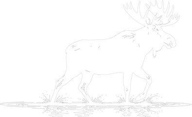 Majestic Moose Walking Through Water Splashes Outline Vector Drawing