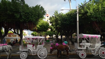 Watch locals enjoy the central plaza of Granada Nicaragua with horse-drawn carriages and green trees on a busy day.