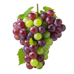 Fototapeta premium Fresh Red and Green Grapes Bunch Isolated on White Background