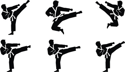 Collection of karate martial arts silhouettes featuring fighter icons in jumping and kicking poses for taekwondo judo sport club logos © Saminur