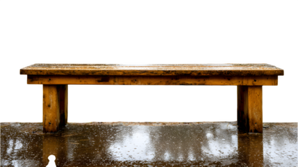 A worn wooden bench in a forest, glistening with fresh rain, reflecting the surrounding trees and sky, evoking a sense of quiet contemplation during a damp day, isolated on a Transparent background