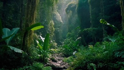 Mysterious Jungle Path Bathed in Sunlight.