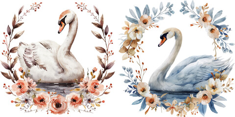 swan with flowers wreath watercolor vector illustration © Dar