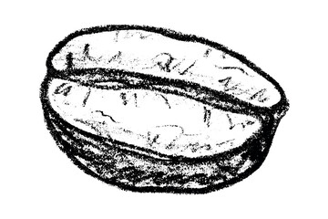 Fototapeta premium Hand drawn fresh roasted coffee bean Arabica robusta seed doodle Single element for print, web, design, decor