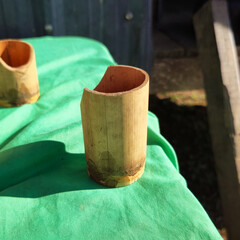 Tea cup made from bamboo