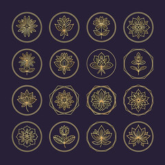 Elegant golden lotus flower icons set on dark background.