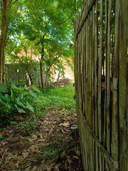 Lush Green Pathway Beside Rustic Bamboo Fence
