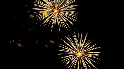 Vibrant fireworks exploding in the night sky