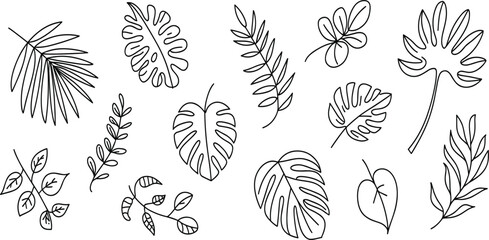 Tropical leaf vector set, hand drawn black line art illustration of monstera, palm, and fern foliage for summer botanical design © MdMajnur