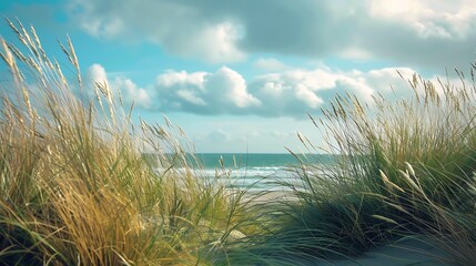 A view of the ocean through tall grass on a sunny day with clouds in the sky above the horizon line