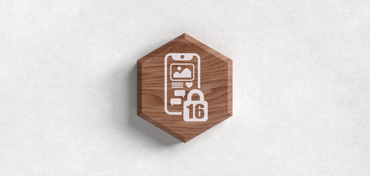 Holz Icon Social Media Altersbeschr&auml;nkung 16 Jahre Smartphone Header