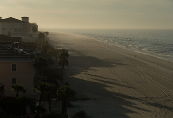 Early Morning Haze and Long Palm Shadows on Florida Beach