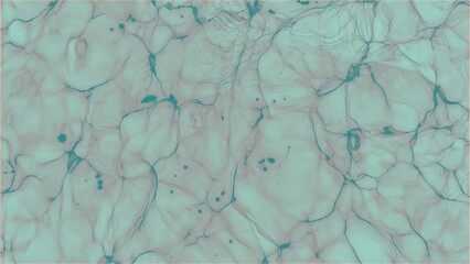 texture of the old paper