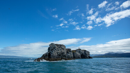 Gull Island nature reserve in Kachemak Bay near Homer Spit Alaska United States