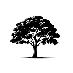 Fototapeta premium Mango Tree Vector Illustration with Lush Green Leaves