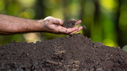 Hands holding soil. Farmers hands full of soil. Pouring soil and testing soil. Gardener examining earth and compost fertility.